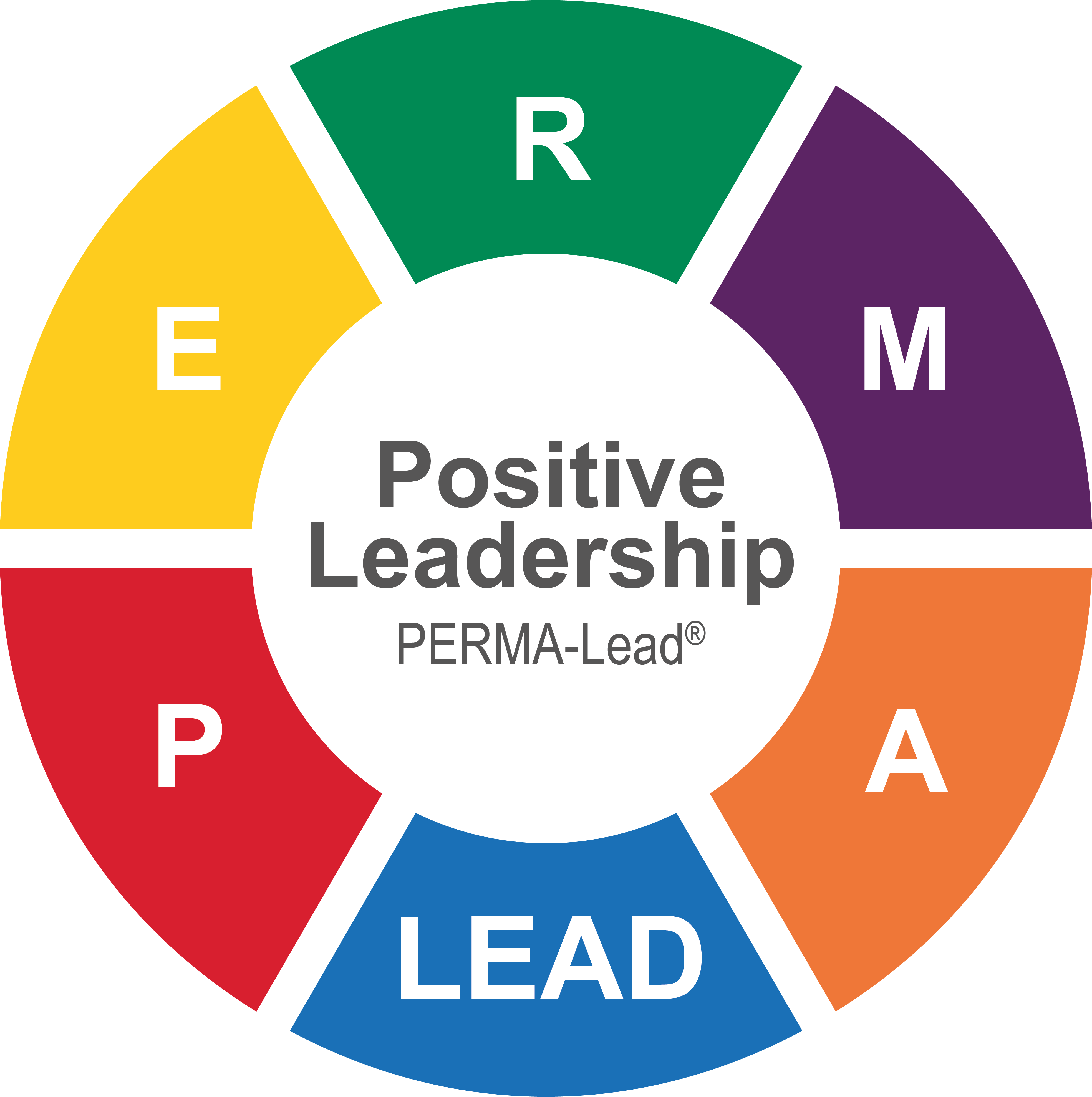 PERMA-Lead Logo